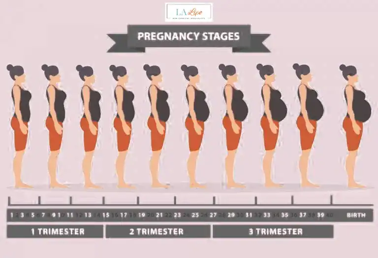 First Trimester (Weeks 1–12): Early Changes You Might Not Notice Potters Bar
